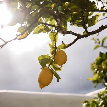 Σπίτι διακοπών Rotes Con Jardin Y Barbacoa Sant Joan De Labritja